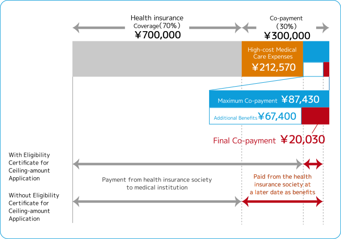 Example Image of High-cost Medical Care Expenses
